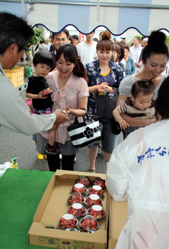 さくらんぼ祭り