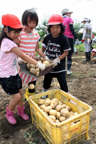 HP百田小じゃがいも掘りIMG_1289